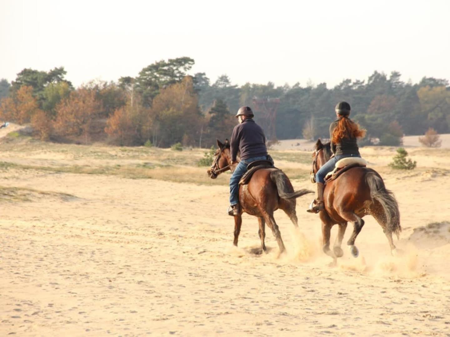 Vakantiehuis Op Rustig Bospark Veluwe 부투이젠 외부 사진