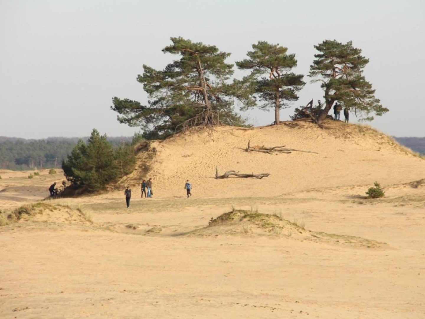 Vakantiehuis Op Rustig Bospark Veluwe 부투이젠 외부 사진