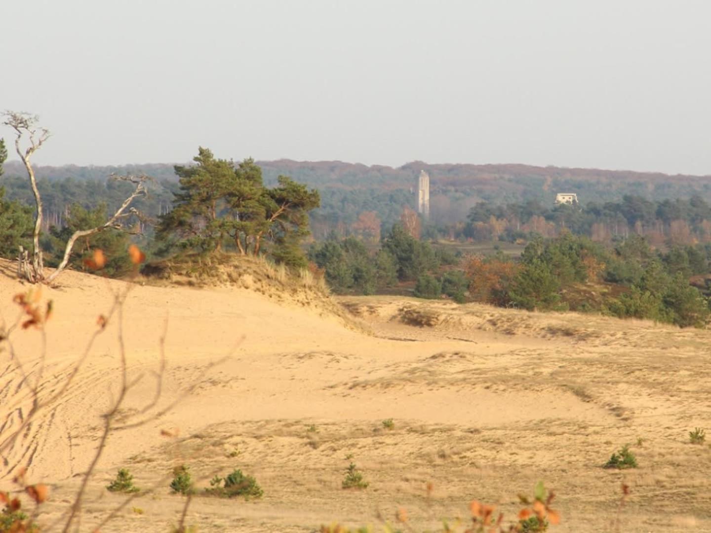 Vakantiehuis Op Rustig Bospark Veluwe 부투이젠 외부 사진