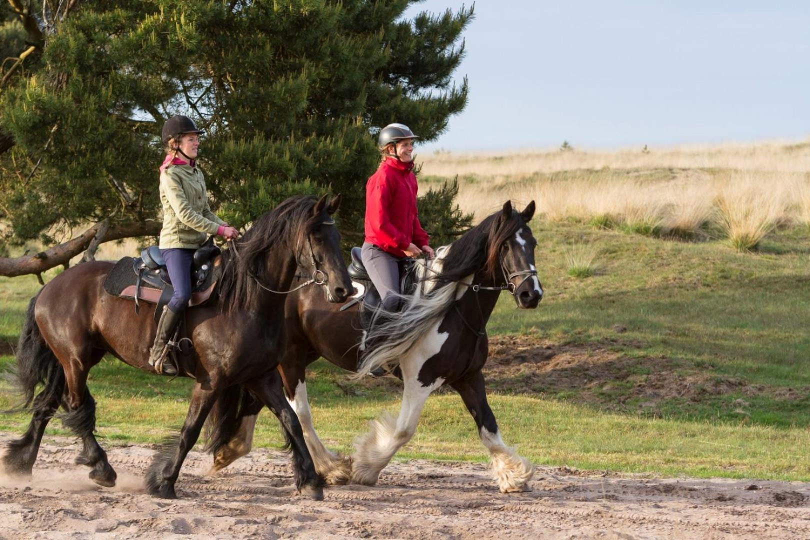 Vakantiehuis Op Rustig Bospark Veluwe 부투이젠 외부 사진