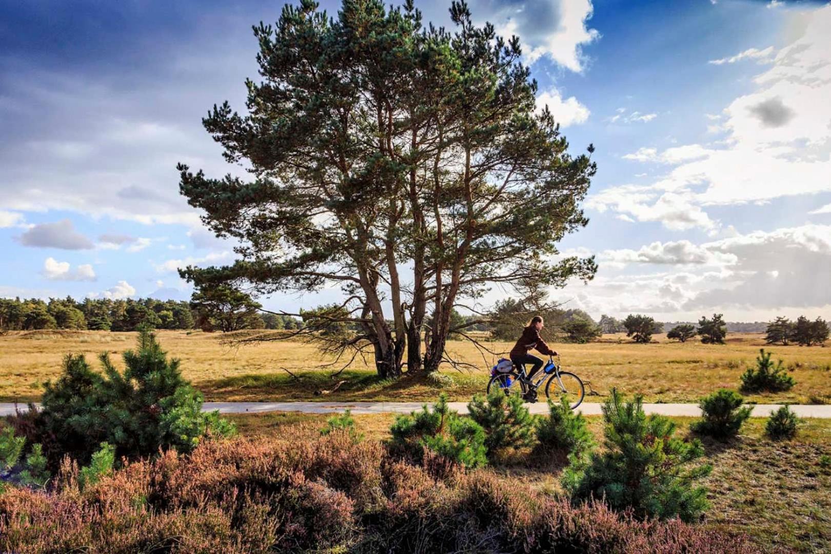 Vakantiehuis Op Rustig Bospark Veluwe 부투이젠 외부 사진