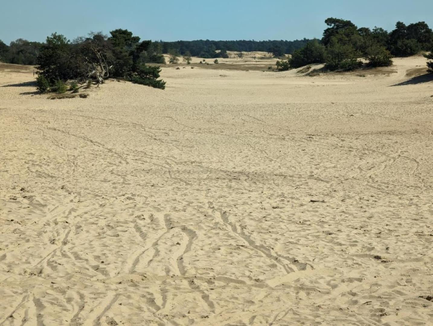 Vakantiehuis Op Rustig Bospark Veluwe 부투이젠 외부 사진