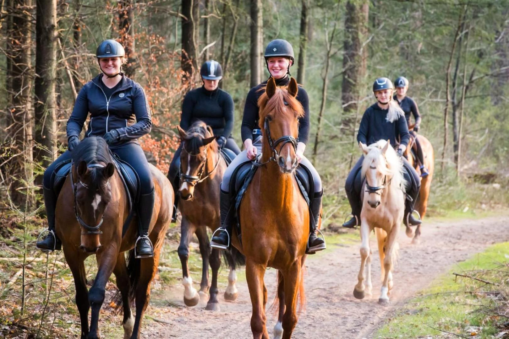 Vakantiehuis Op Rustig Bospark Veluwe 부투이젠 외부 사진