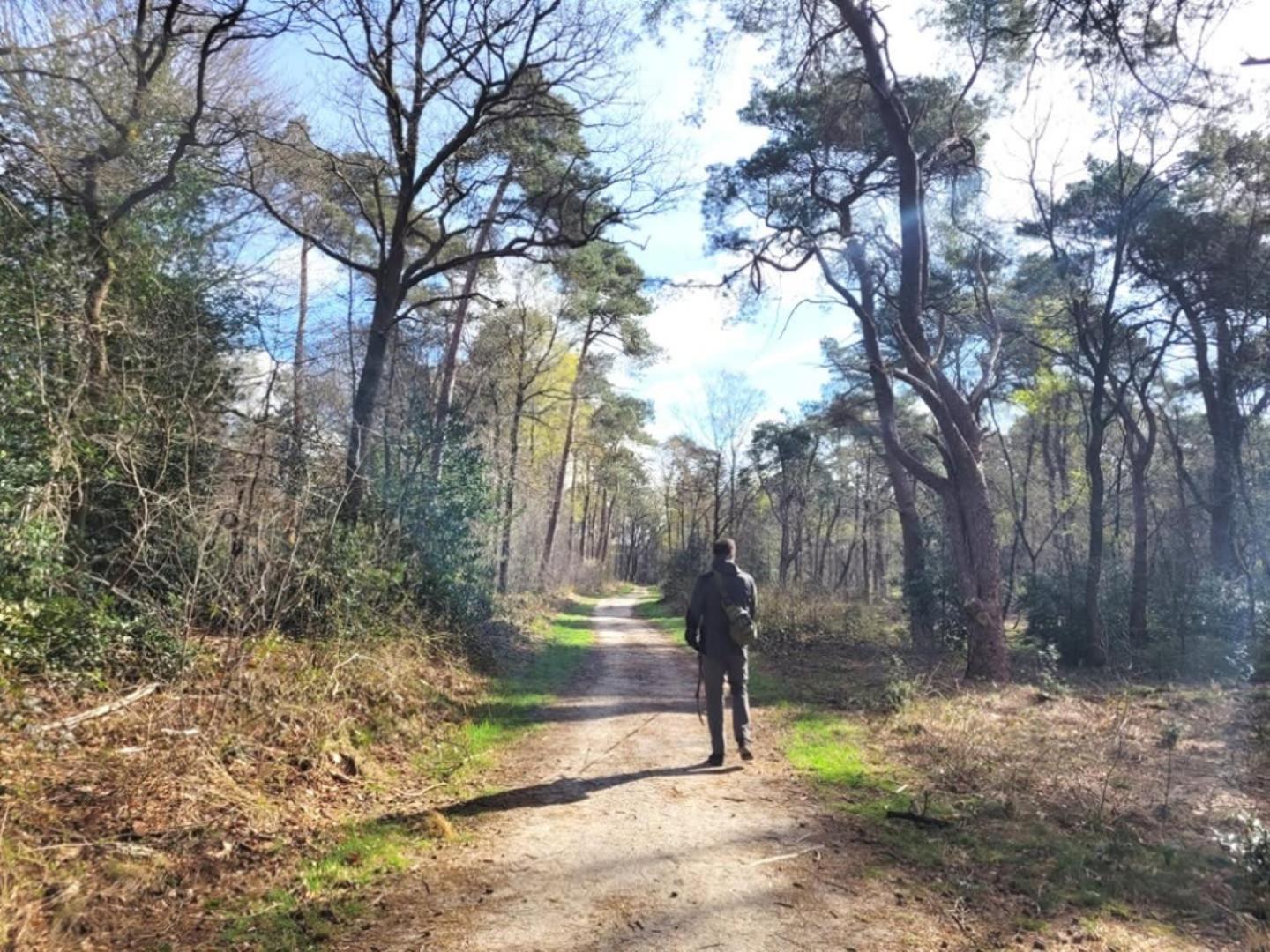 Vakantiehuis Op Rustig Bospark Veluwe 부투이젠 외부 사진